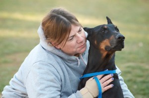 Grooming, Care, and Training - Hickory Tavern Farm Barbet: Resources