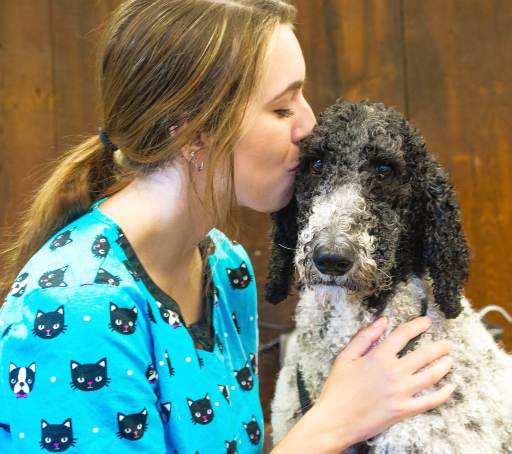 201510 Grooming Shoot46 (1) — Hickory Springs Farm